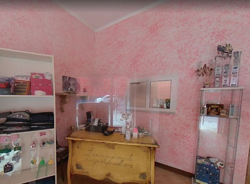 Il Collare D'Oro Di Sonia Puccetti - Foto 1