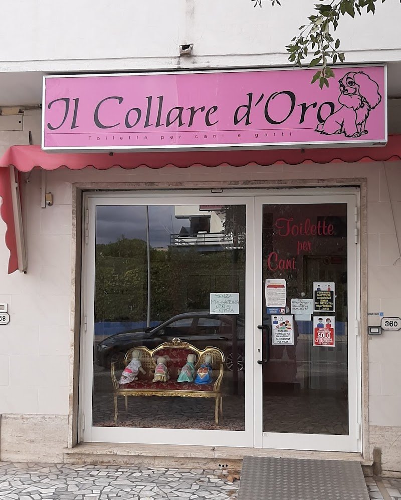 Il Collare D'Oro Di Sonia Puccetti - Foto 5