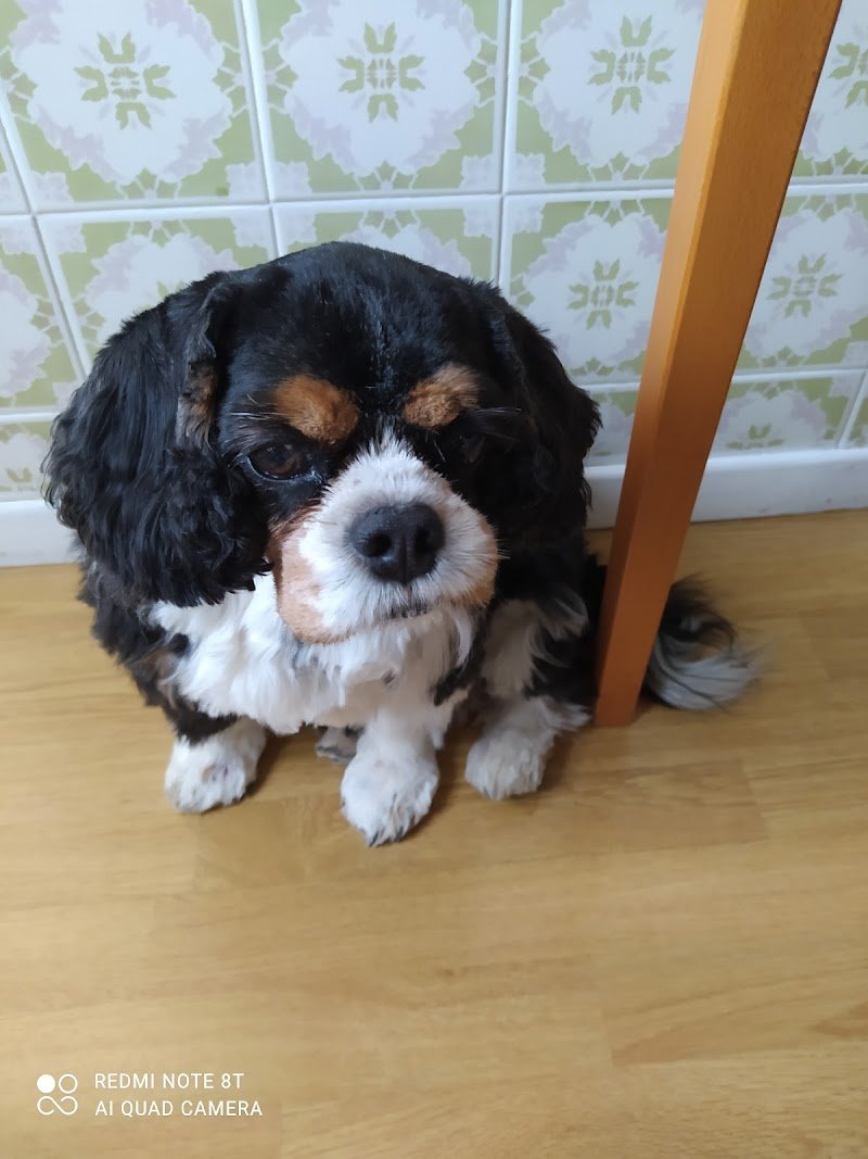 Il Cortiletto Dei Pelosi - Foto 4