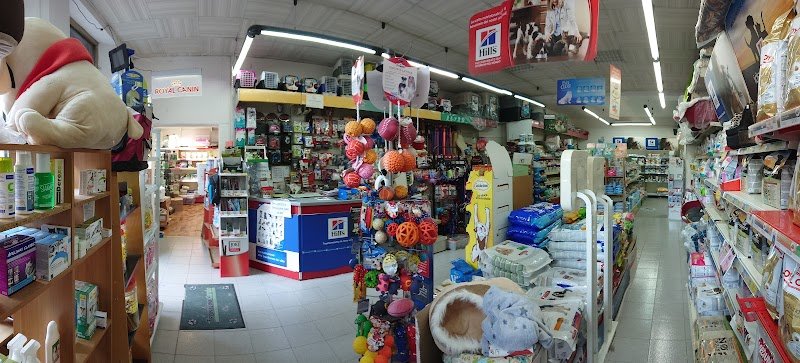 Il Cucciolo - Foto 3