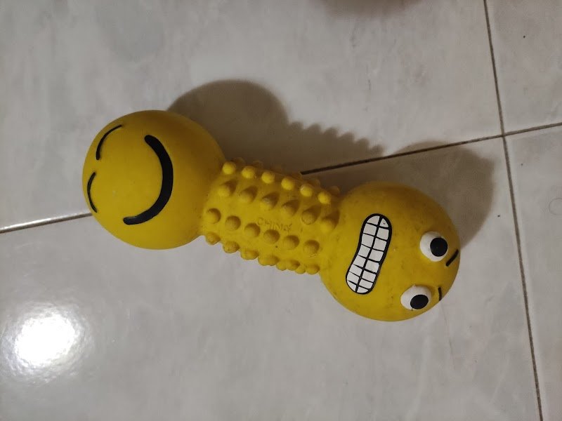 Il Cucciolo - Foto 4