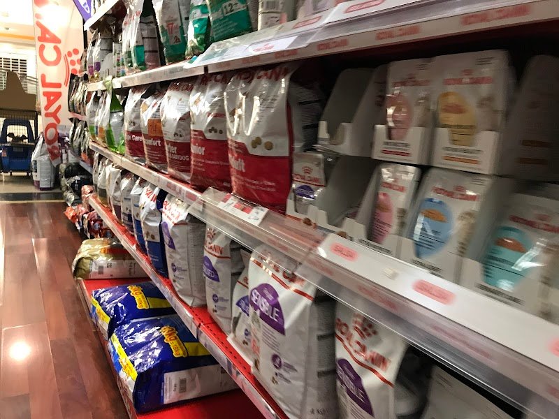 Il Cucciolotto Pet Shop e toelettatura - Foto 3