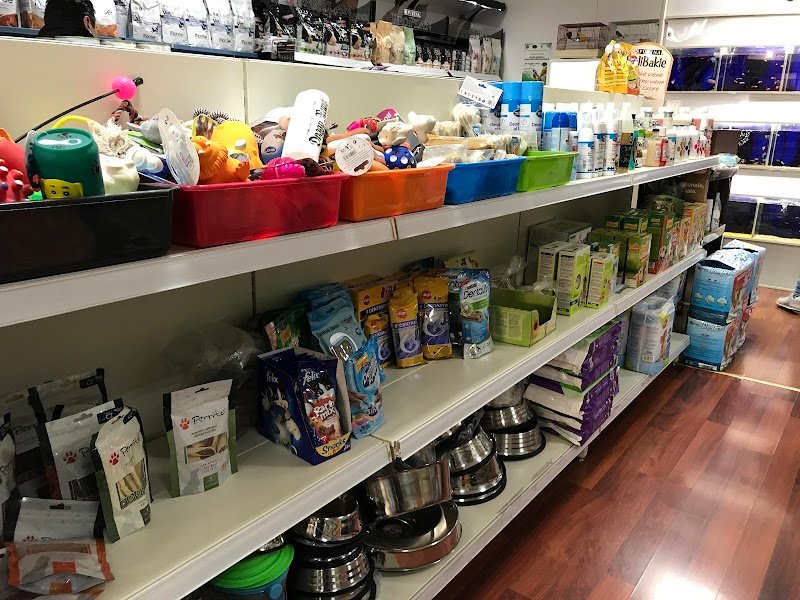 Il Cucciolotto Pet Shop e toelettatura - Foto 5