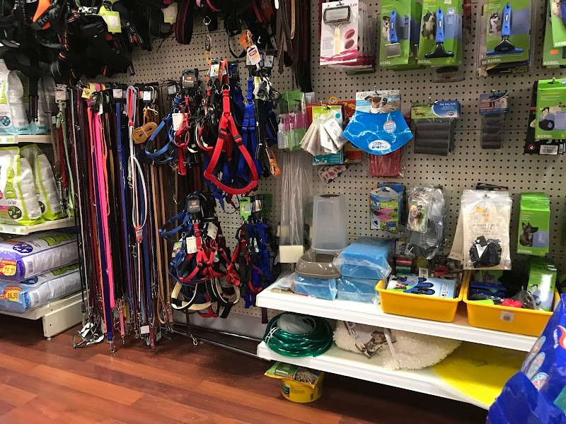 Il Cucciolotto Pet Shop e toelettatura - Foto 6