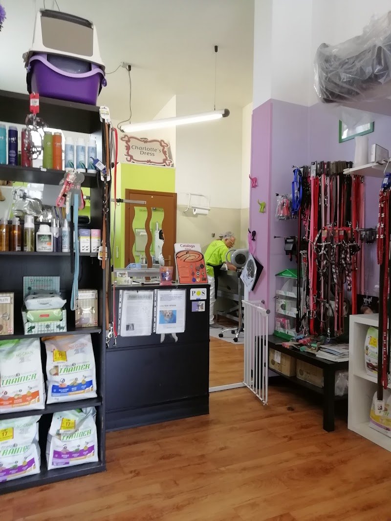 Il "figaro" dei cani - Foto 3