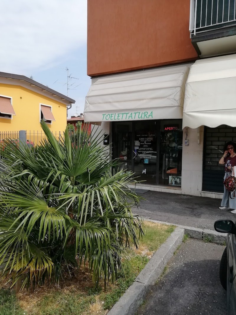 Il "figaro" dei cani - Foto 5