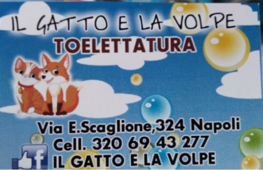 Il Gatto e La Volpe - Toelettatura - Foto 2