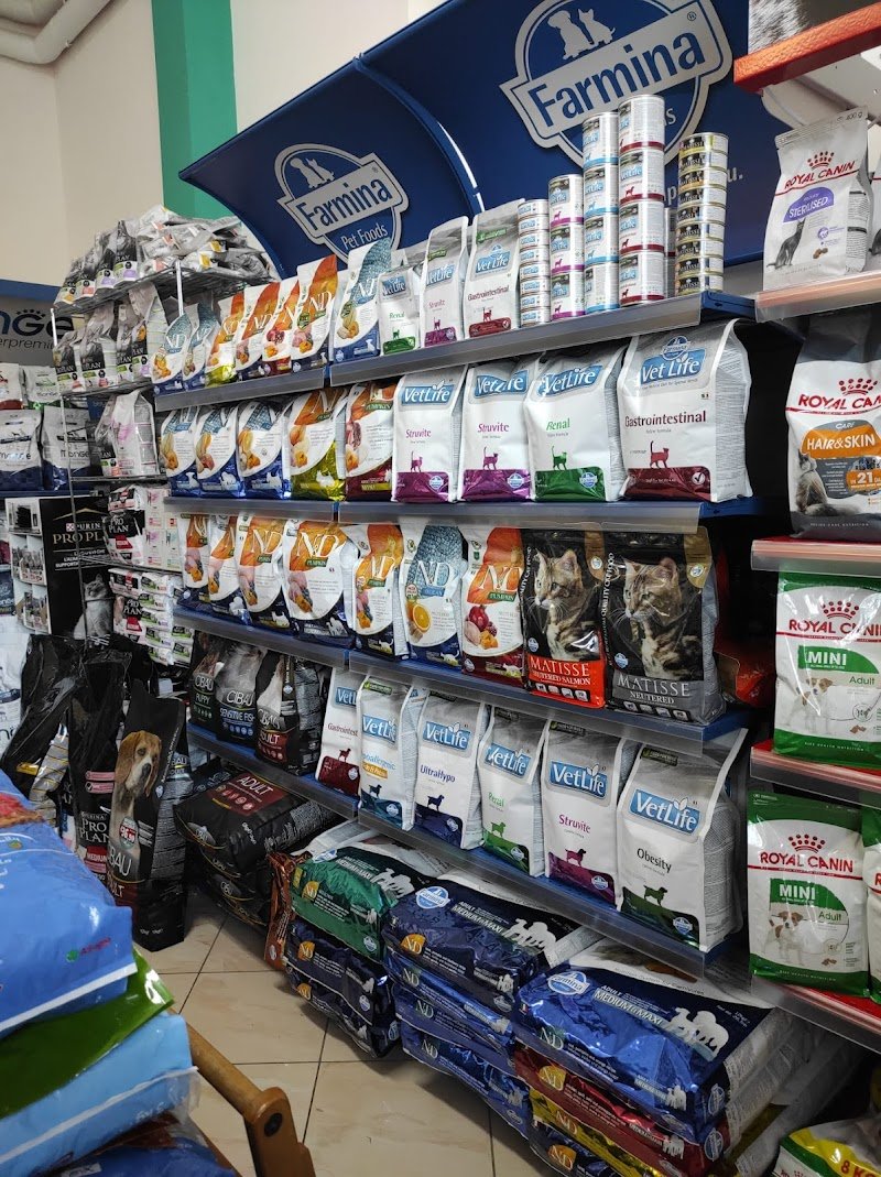 IL MIO MIGLIORE AMICO - Pet Center, Toelettatura e SPA - Foto 1