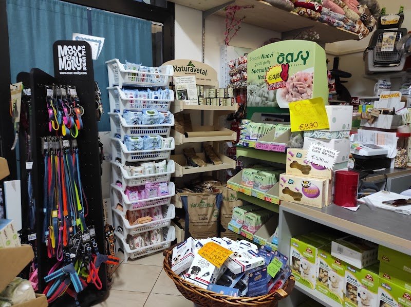 IL MIO MIGLIORE AMICO - Pet Center, Toelettatura e SPA - Foto 2