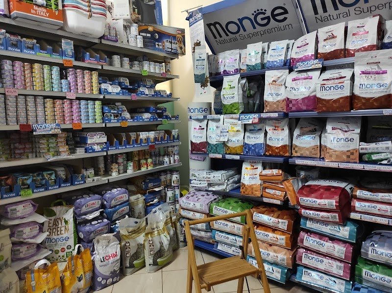 IL MIO MIGLIORE AMICO - Pet Center, Toelettatura e SPA - Foto 3