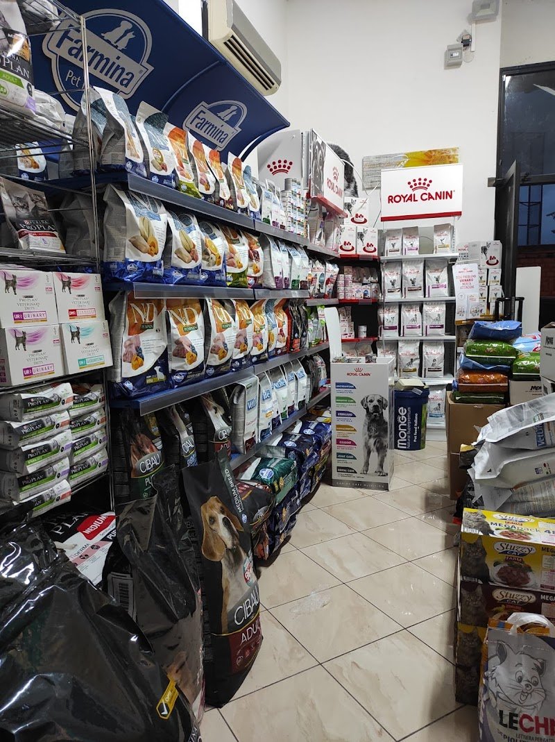 IL MIO MIGLIORE AMICO - Pet Center, Toelettatura e SPA - Foto 5