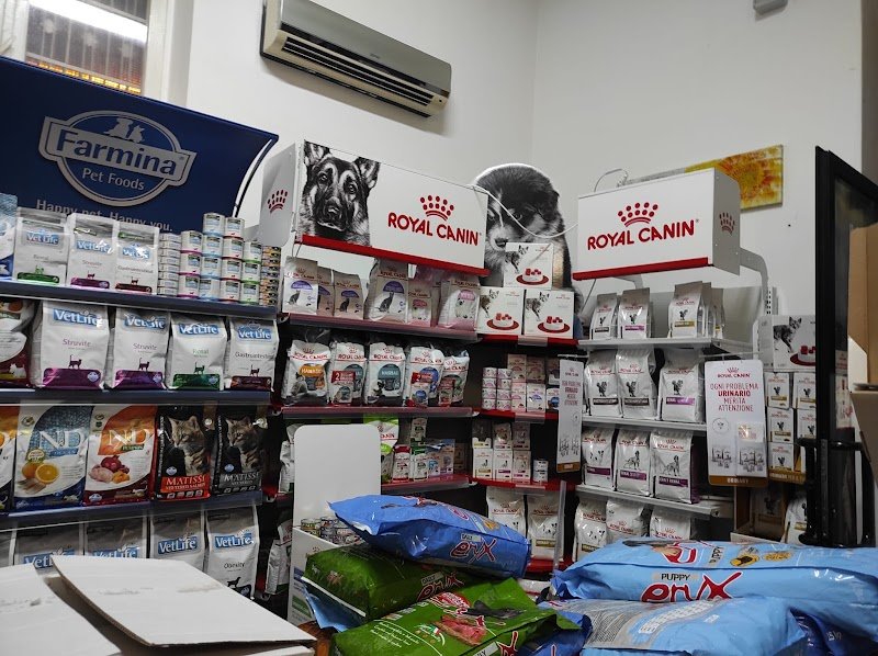 IL MIO MIGLIORE AMICO - Pet Center, Toelettatura e SPA - Foto 6