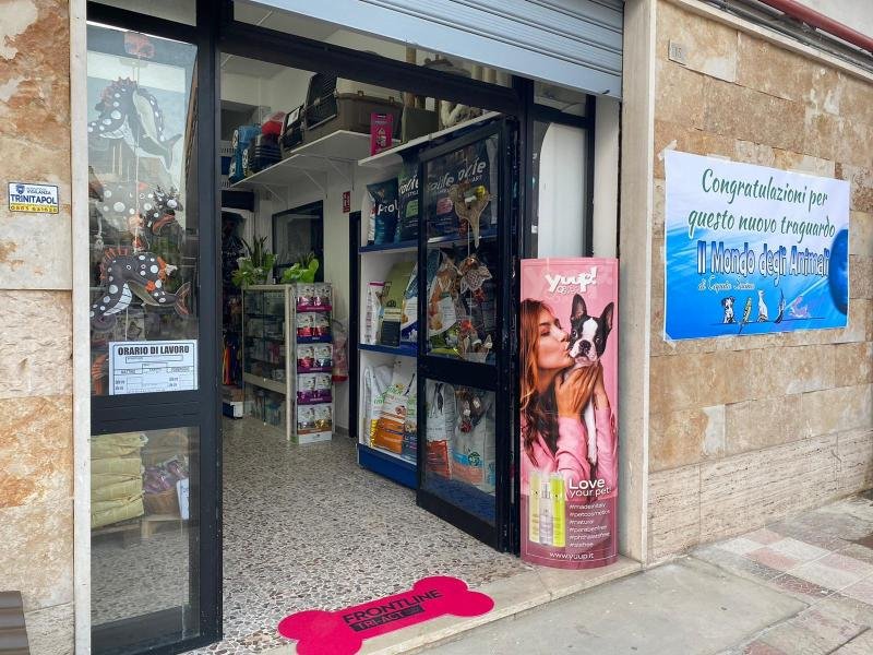 Il Mondo degli Animali - Foto 2