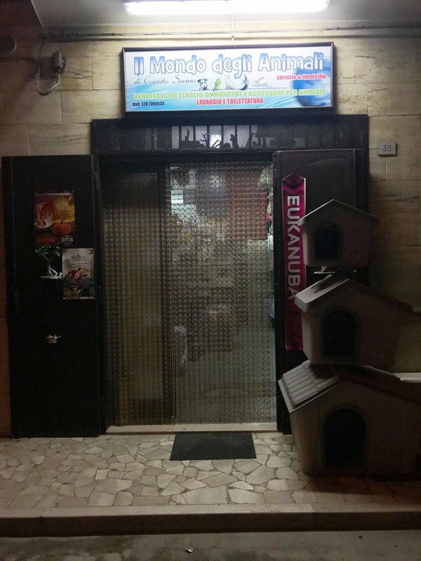 Il Mondo degli Animali - Foto 3