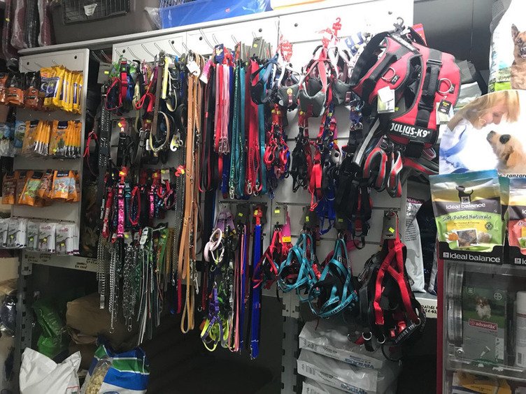 Il Mondo degli Animali - Foto 4