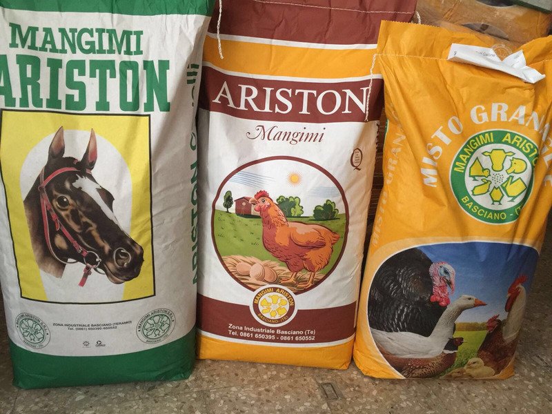 Il Mondo degli Animali - Foto 5