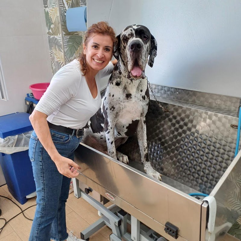 Il Mondo di Trilly, Toelettatura per Animali - Foto 1