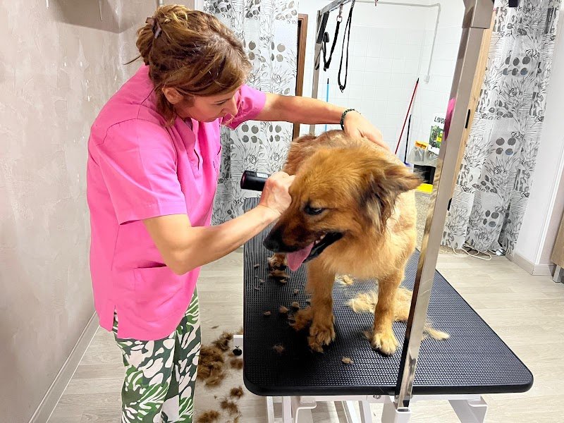 Il Mondo di Trilly, Toelettatura per Animali - Foto 6