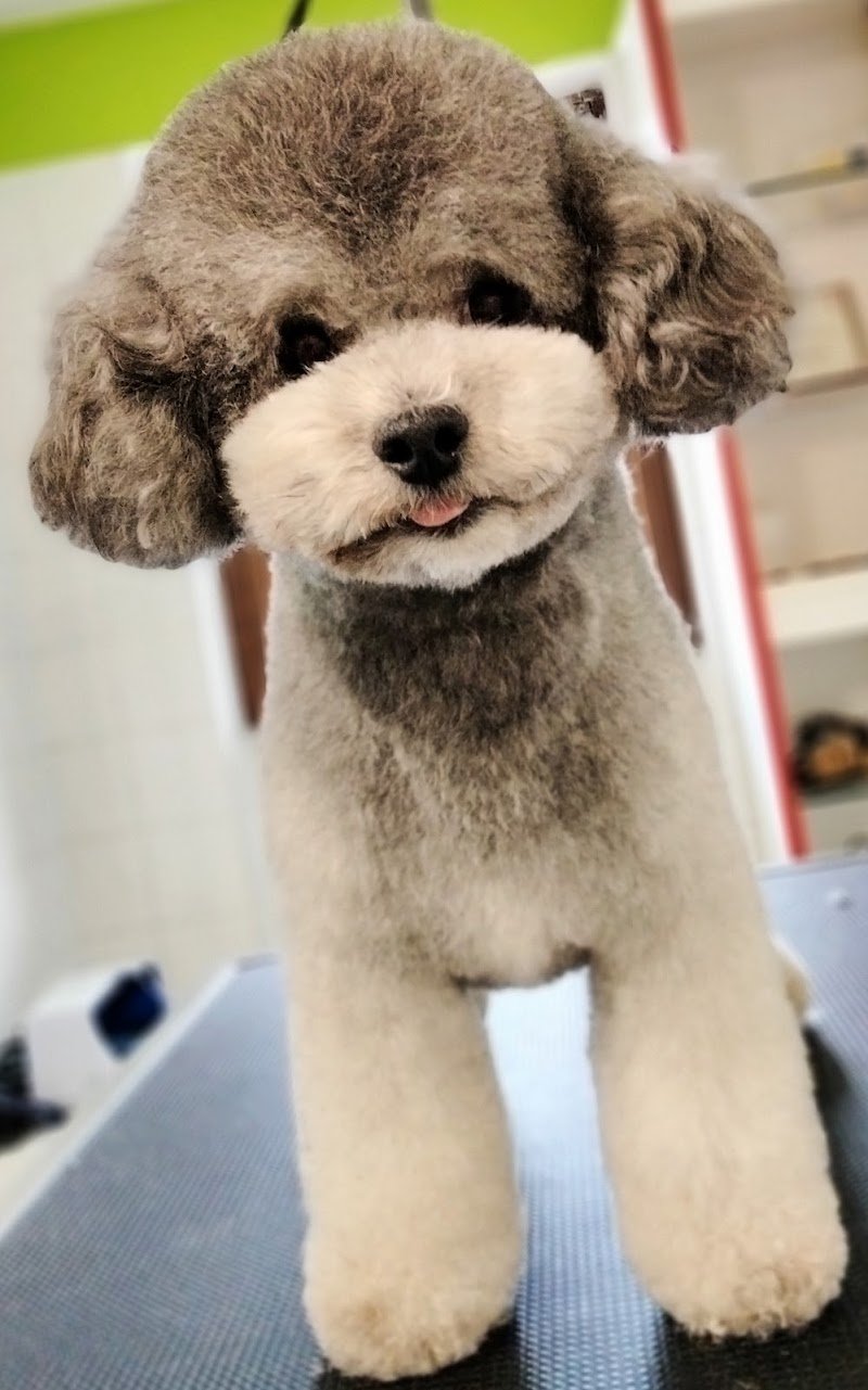 IL NIDO DELL' AQUILA - Foto 1