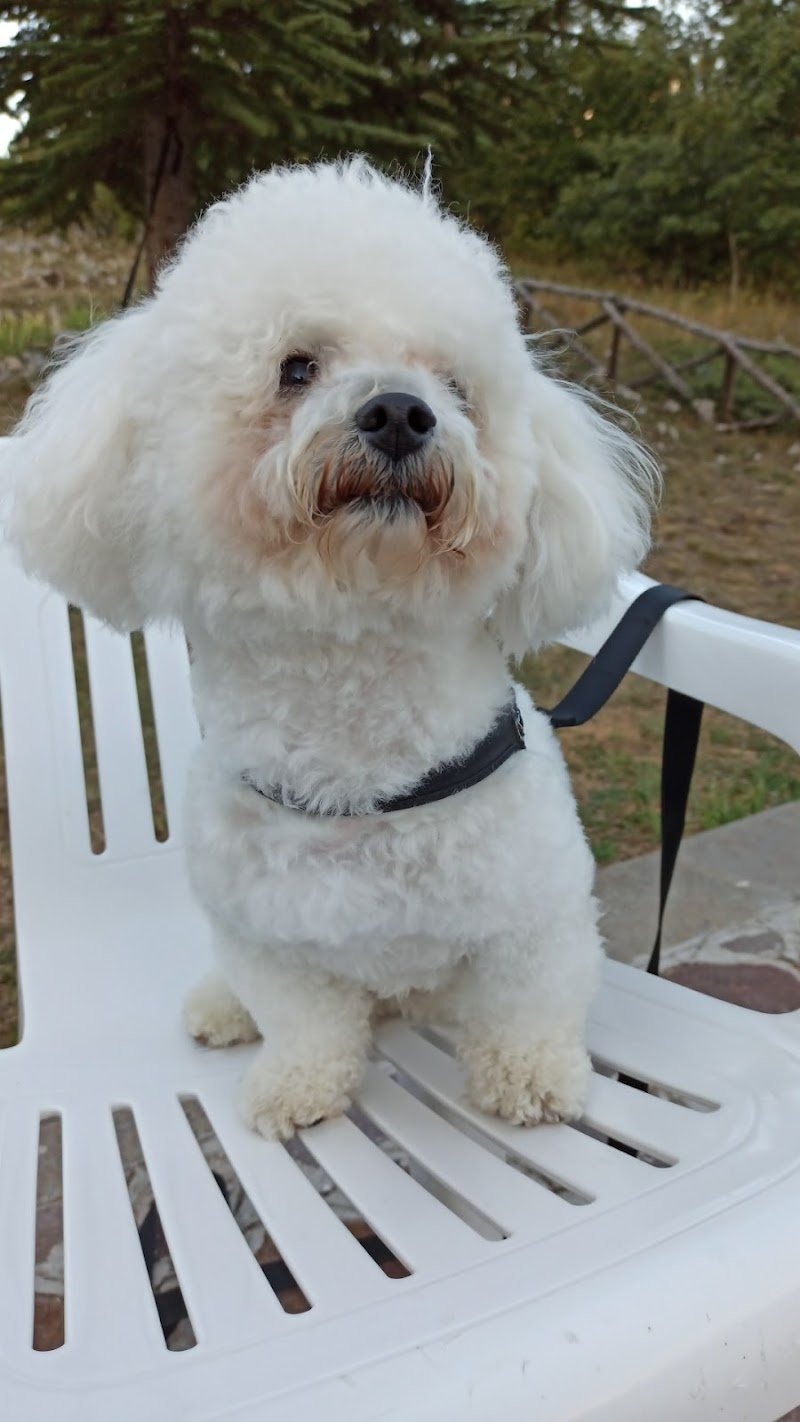 IL NIDO DELL' AQUILA - Foto 2