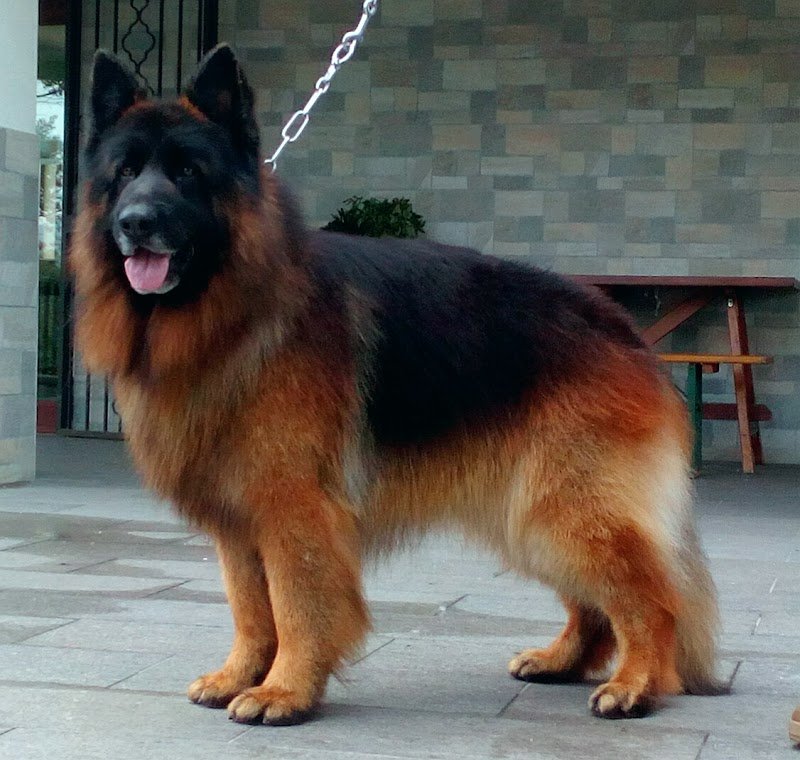 IL NIDO DELL' AQUILA - Foto 3