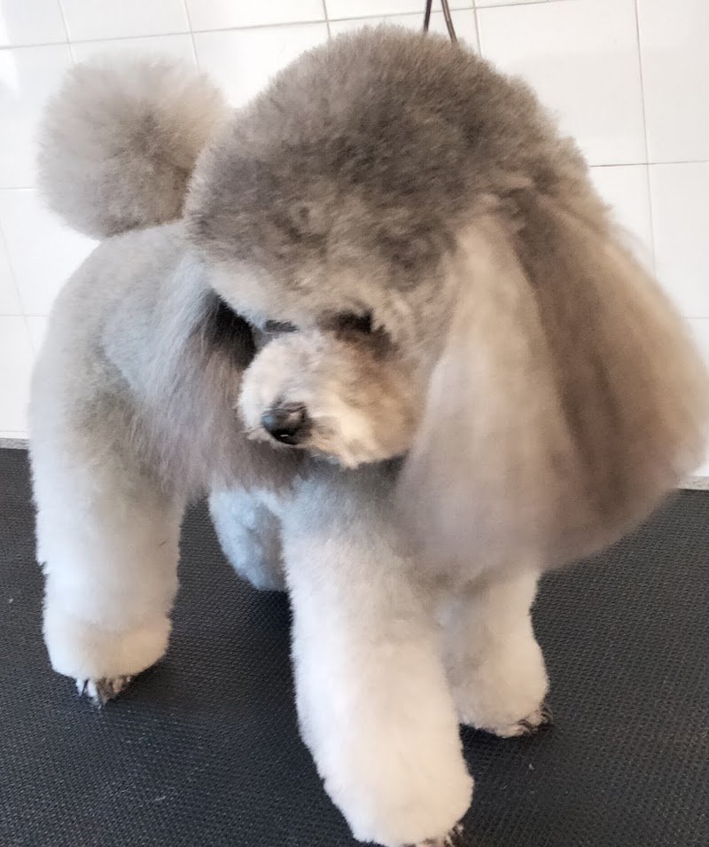 IL NIDO DELL' AQUILA - Foto 6