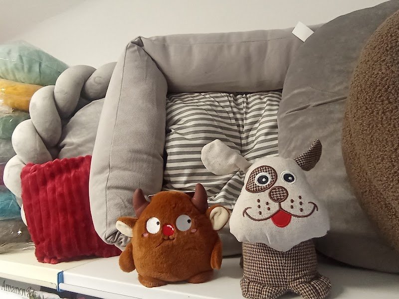 Il Paradiso dei Cuccioli 2 - Foto 3