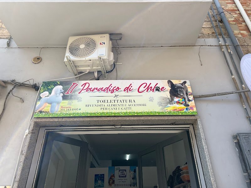 Il paradiso di Chloe - Toelettatura - Rosario Cantaro - Foto 1