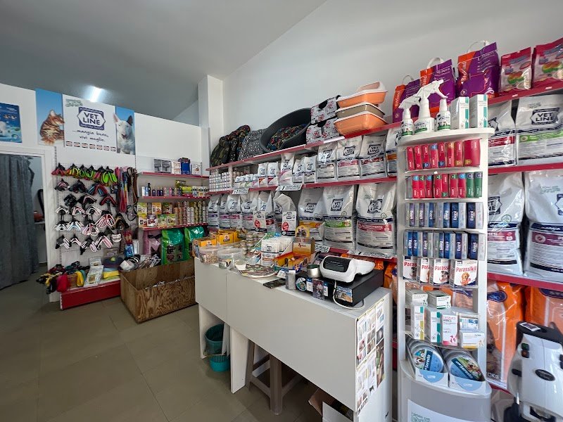 Il paradiso di Chloe - Toelettatura - Rosario Cantaro - Foto 5