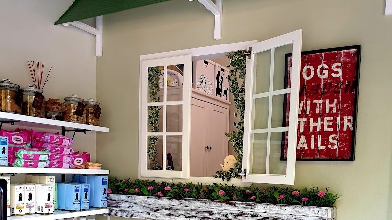 Il Pelo Matto di Monica Mangini - Foto 1