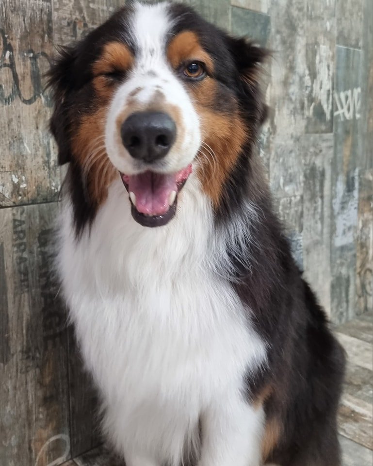 Il Pelo Matto di Monica Mangini - Foto 2