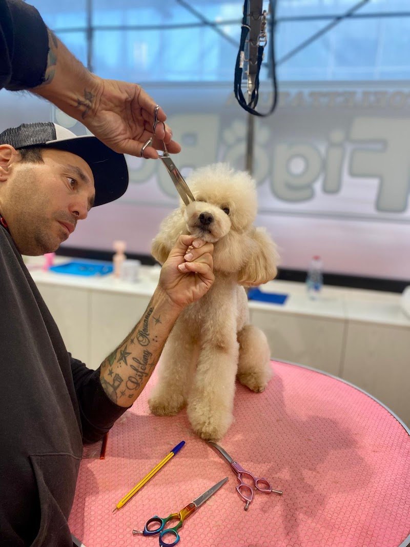 Il Pelo Matto Toelettatura - Foto 2