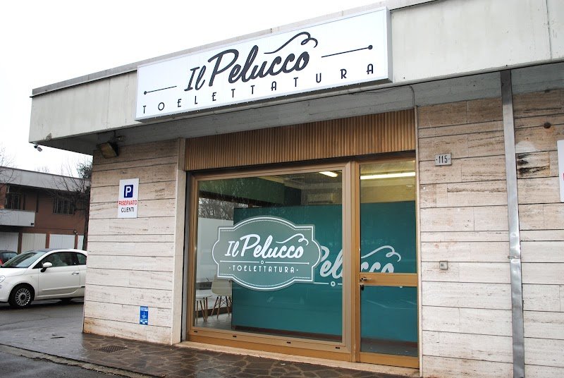 Il Pelucco Toelettatura - Foto 1