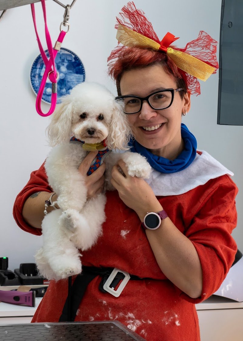 Il Persiano - Foto 2