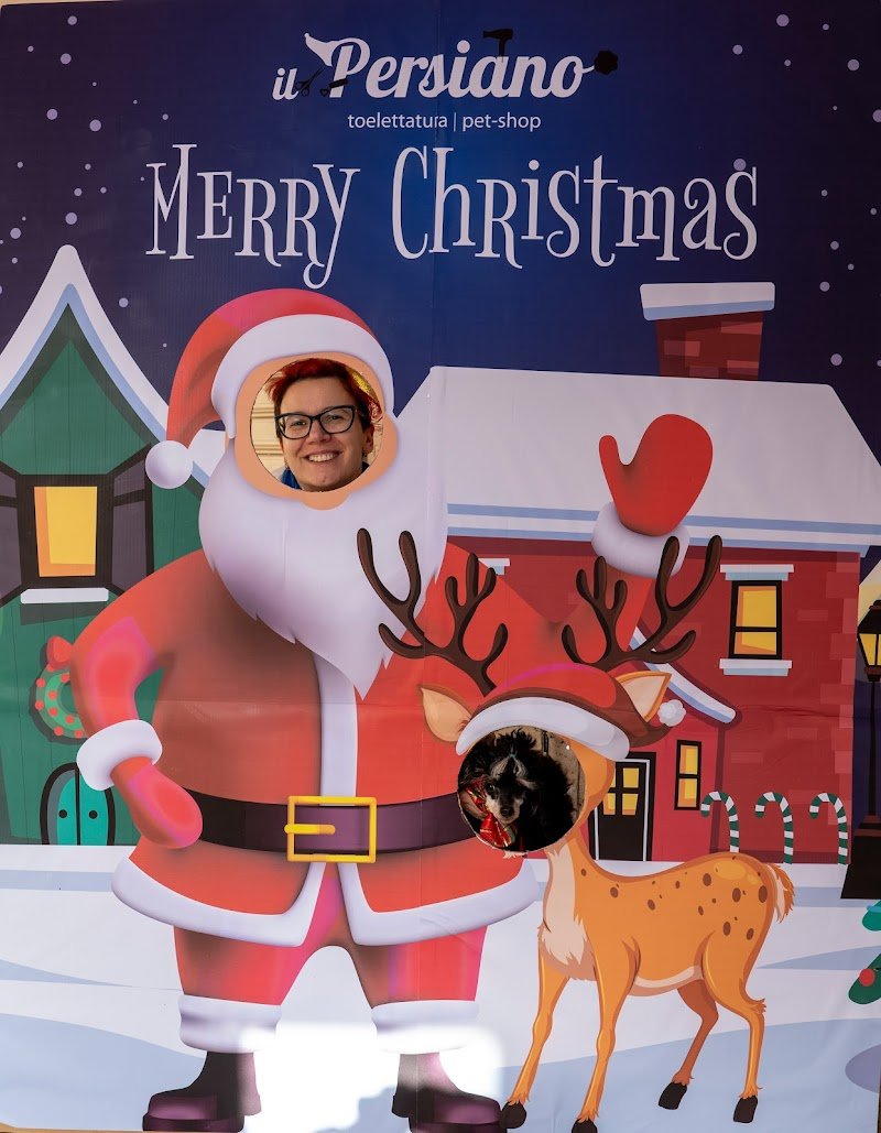 Il Persiano - Foto 6