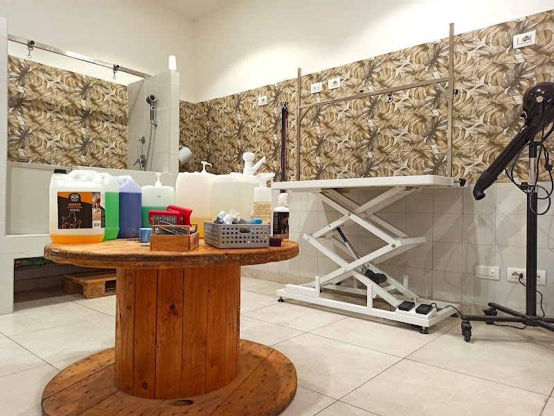 Il Regno Animale - Foto 3