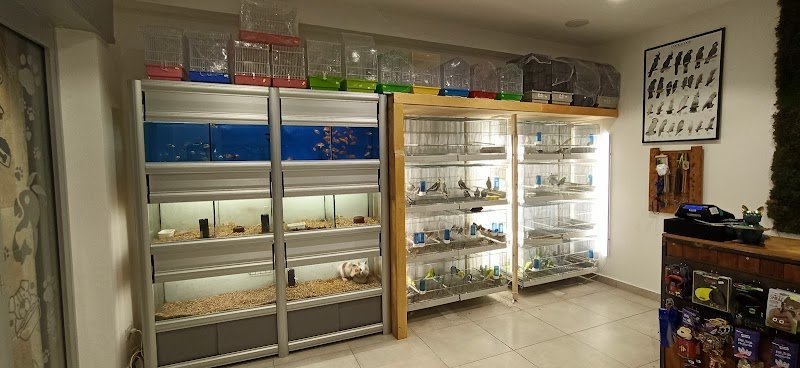 Il Regno Animale - Foto 4