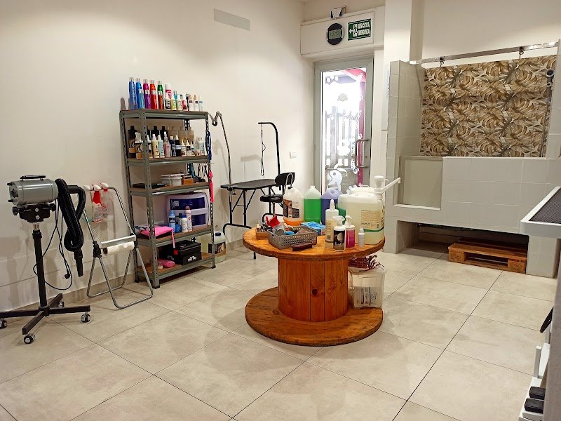 Il Regno Animale - Foto 5