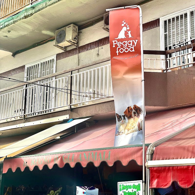 Il regno degli animali di Gianluca Carotenuto - Foto 1