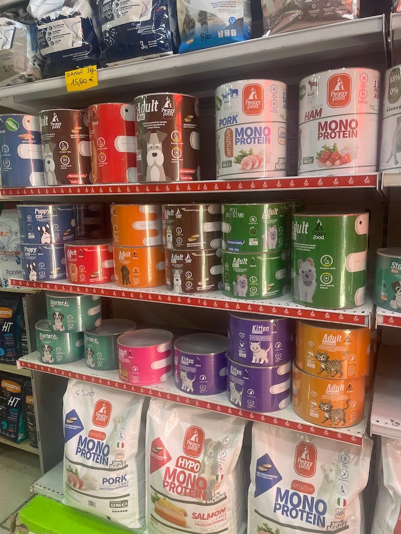 Il regno degli animali di Gianluca Carotenuto - Foto 2