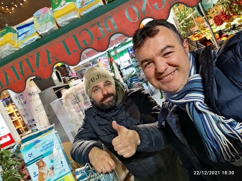 Il regno degli animali di Gianluca Carotenuto - Foto 3