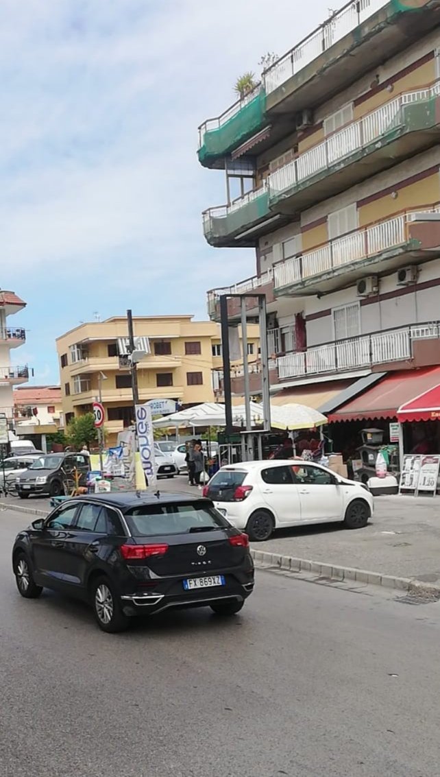 Il regno degli animali di Gianluca Carotenuto - Foto 4