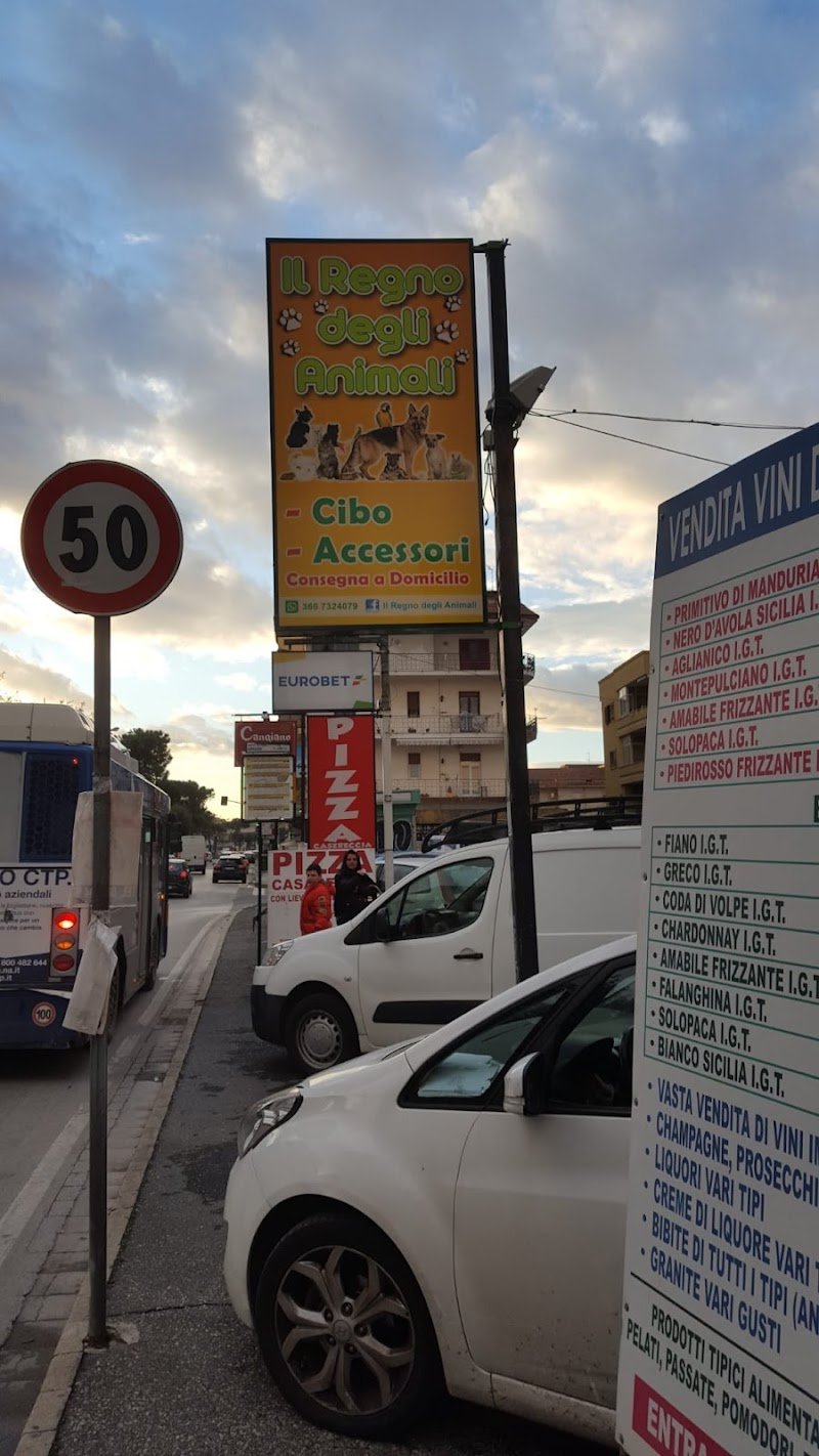 Il regno degli animali di Gianluca Carotenuto - Foto 5