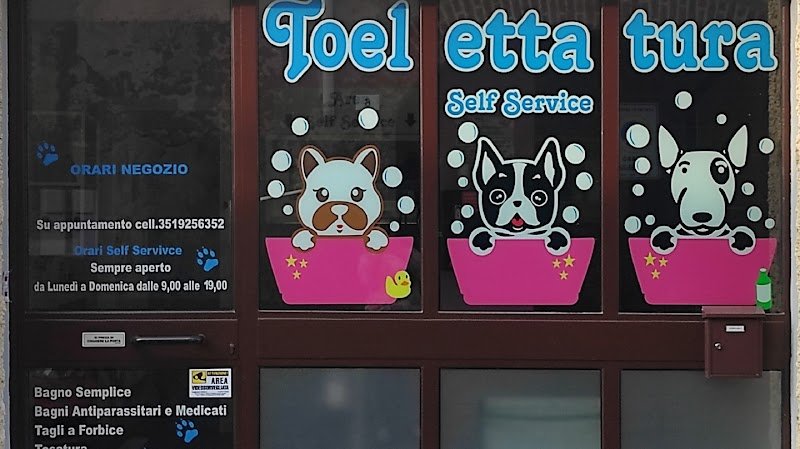 Il salone dei pelosetti - Foto 1