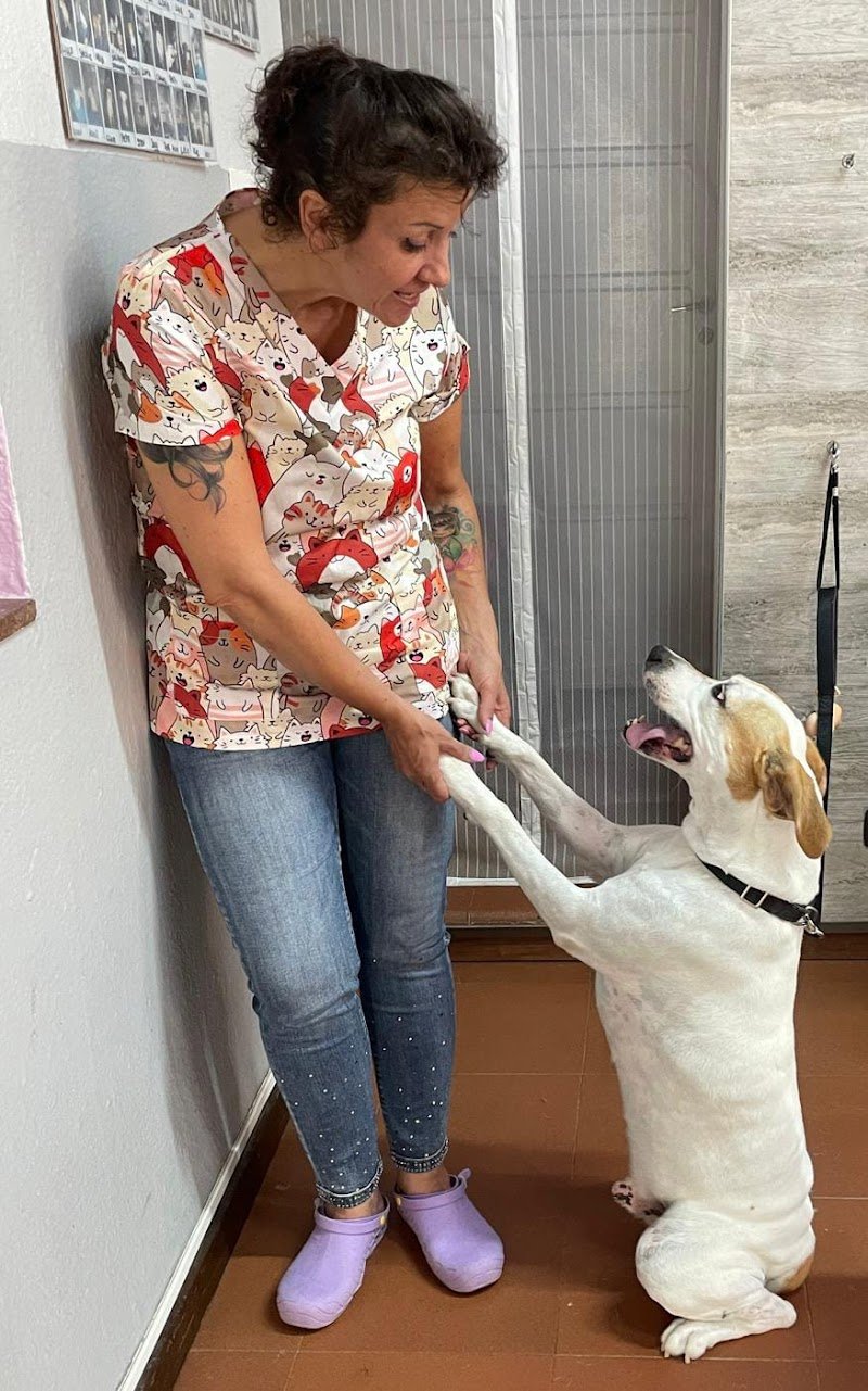 Il salone dei pelosetti - Foto 3