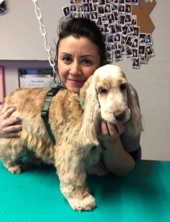 Il salone dei pelosetti - Foto 4