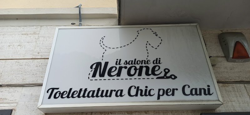 Il Salone di Nerone - Foto 2