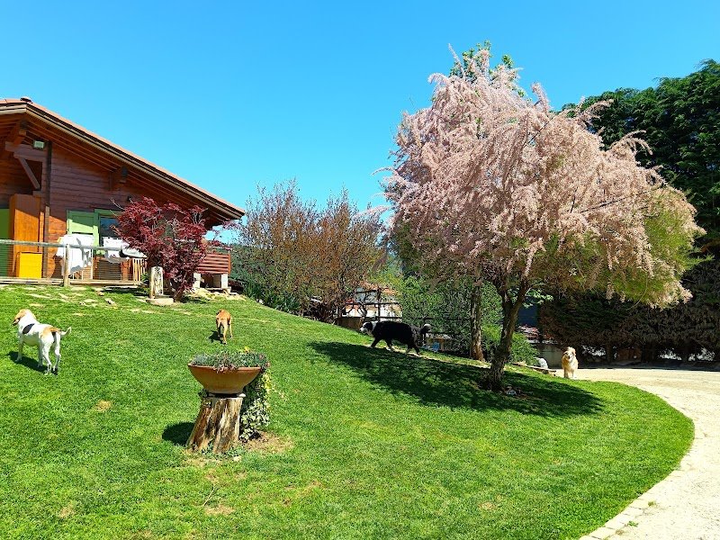 Il salotto degli Animali - Foto 1