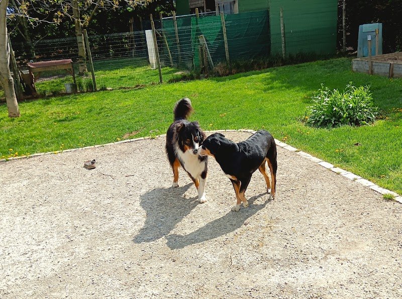 Il salotto degli Animali - Foto 2