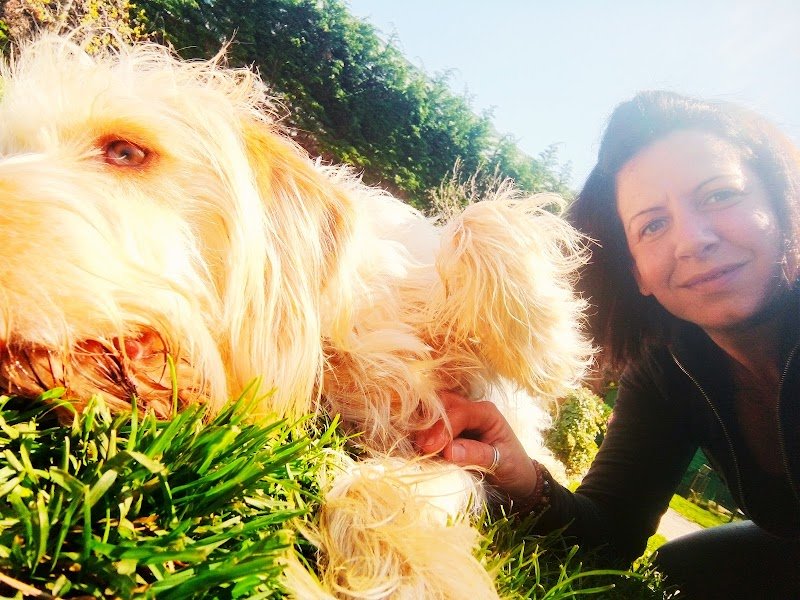 Il salotto degli Animali - Foto 6